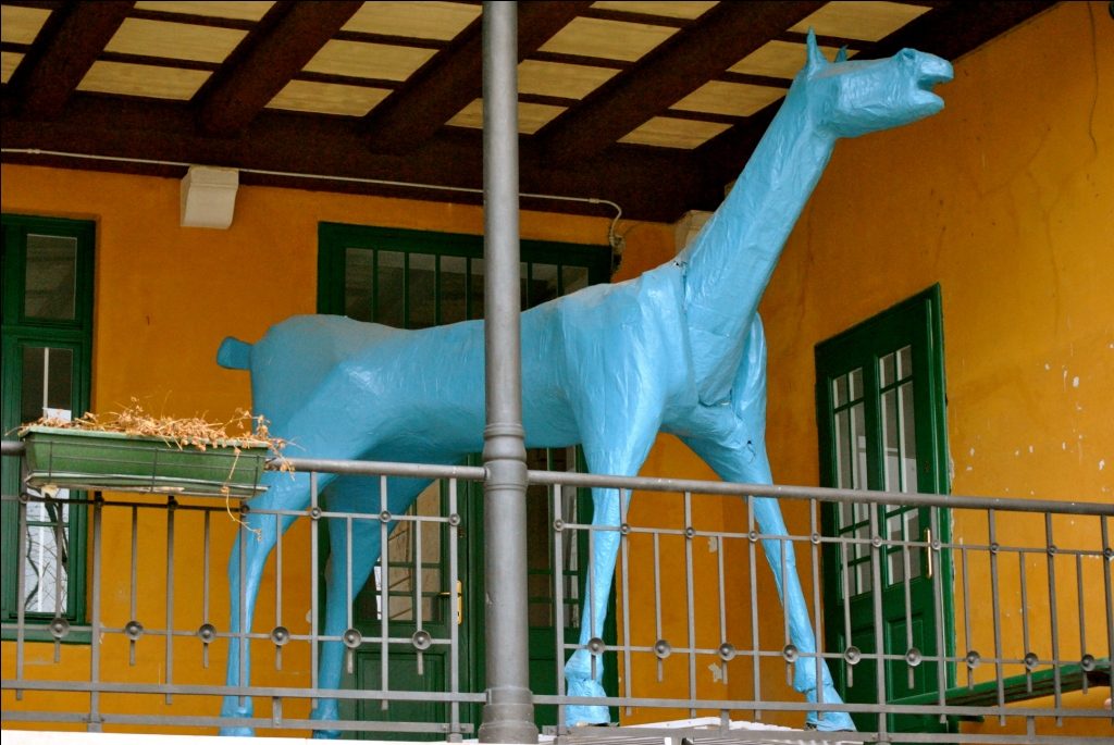 cavallo 5.JPG